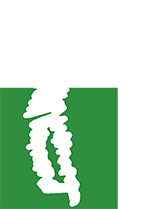 druento_golf_color