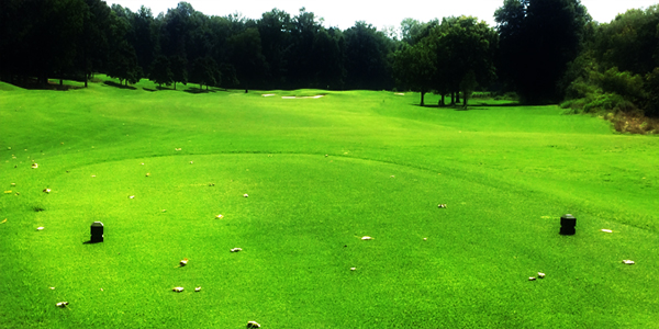 tee-marker tee-marker